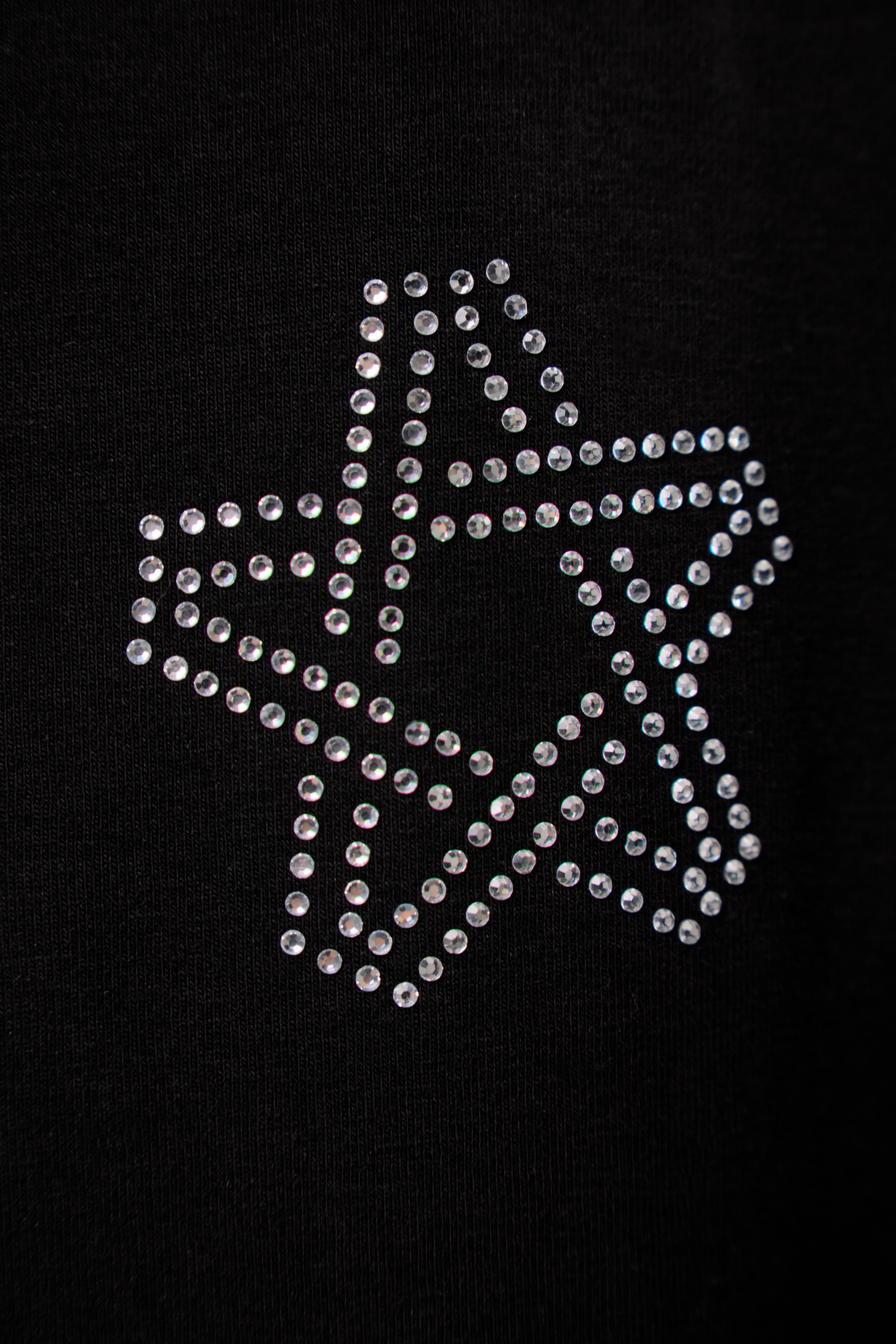 Dazzle T-Shirt Black with White gems